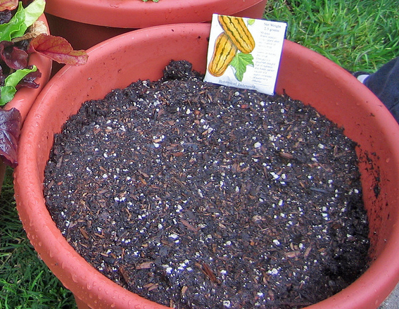 Premium Potting Soil Mix